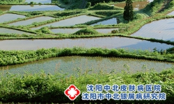 气候变化对于银屑病影响到底有多大?