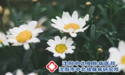 体股癣和牛皮癣二者是完全不一样疾病，别再混淆了!沈阳银屑病医院，沈阳牛皮癣医院，沈阳皮肤病医院