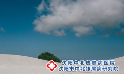 医院排名沈阳银屑病医院排行总榜发布