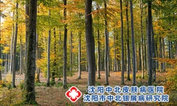 银屑病患者如何应对阳气不足，四个妙招让你更好养阳气!