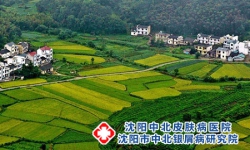 牛皮癣患病人群自然属性分布特点?