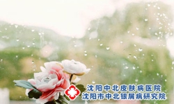 银屑病患者注意 | 这些偏方你用过吗?沈阳银屑病医院，沈阳牛皮癣医院，沈阳皮肤病医院