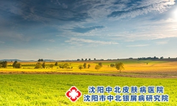 沈阳治疗银屑病的医院专科：治疗银屑病为什么春季好?