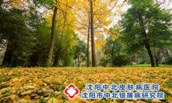 牛皮癣患者秋季运动应该注意什么