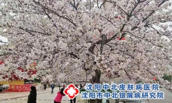 警惕!八成银屑病患者都忽略的诱发因素!