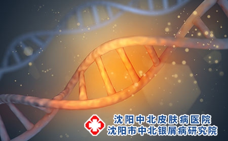 摄图网_400091736_DNA（企业商用）