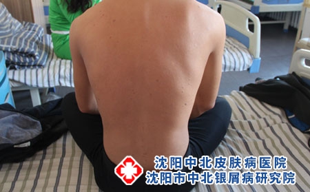 沈阳中北 沈阳中北