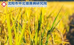 秋冬牛皮癣加重的原因