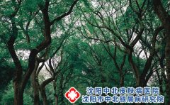 如何护理皮肤不干燥