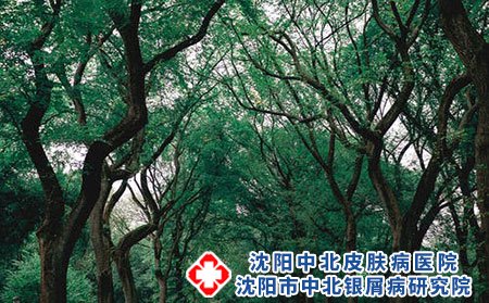 春天如何护理皮肤不干燥