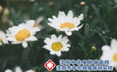 湿疹的常见症状有哪些