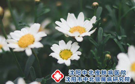 湿疹的常见症状有哪些