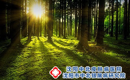 荨麻疹是什么?有多少种?中医辨证是什么?