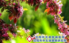 什么是荨麻疹?得了荨麻疹应该怎么办?