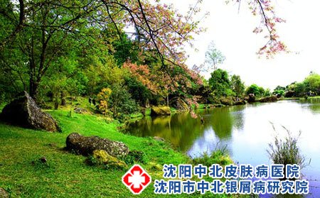 湿疹应该如何诊断？怎样才能预防？