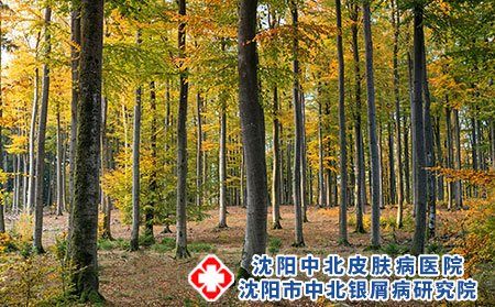 过敏性皮炎的病因分析?如何保健护理?