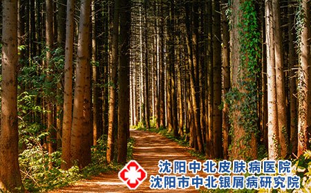 宝宝过敏性皮炎的饮食原则有哪些?