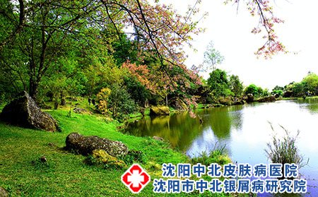 湿疹在日常生活中应该如何护理?