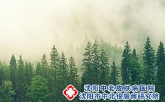 脚湿气和脚气病是一种病吗?脚气的症状有哪些